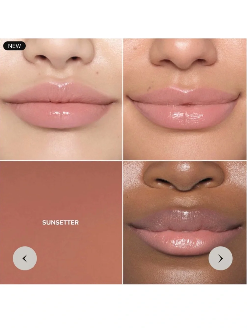 NEW✅ABH Sunsetter
